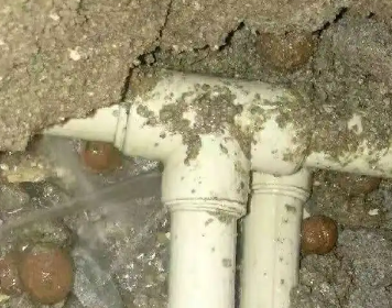 鄂伦春测漏水多少钱