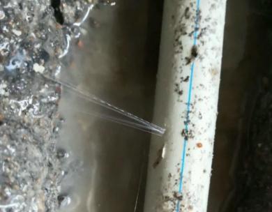 鄂伦春测漏水哪家好