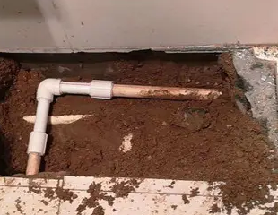 鄂伦春测漏水哪家好