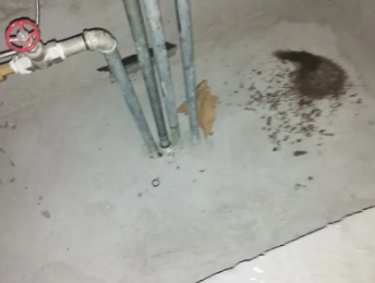 鄂伦春卫生间测漏水价格明细