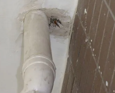 鄂伦春漏水检测哪家好